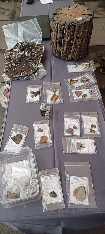 Funde der Ausgrabungen in Monheim im Hof hinter "Das Hotel by Ferber" Verschiedene archäologische Funde eingepackt in Plastiktüten auf einem Tisch ausgelegt, darunter Holzstücke und Proben in kleinen Fläschchen.