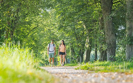 Zwei Personen mit Rucksäcken gehen auf einem von Bäumen gesäumten Weg in einem grünen Park.