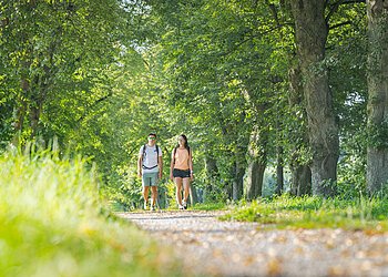Zwei Personen mit Rucksäcken gehen auf einem von Bäumen gesäumten Weg in einem grünen Park.