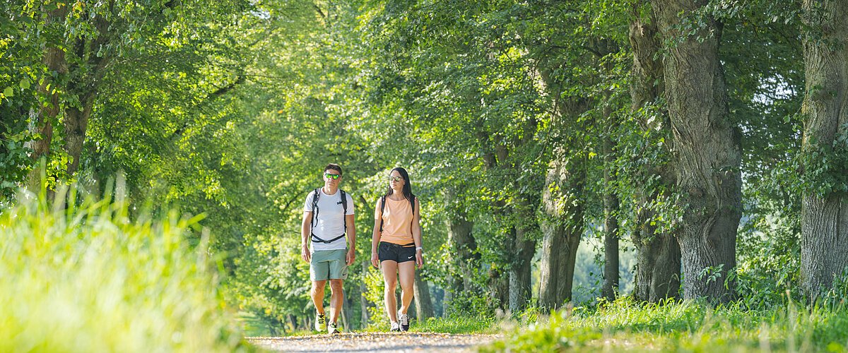 Zwei Personen mit Rucksäcken gehen auf einem von Bäumen gesäumten Weg in einem grünen Park.