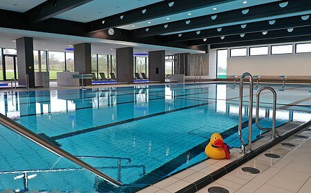 Innenansicht eines Hallenbades mit leeren Liegestühlen, einem befüllten Schwimmbecken und einer großen gelben Gummiente am Beckenrand. An der Decke Leucht-Spots und im Hintergrund große Fenster.